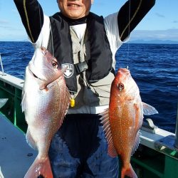 第三むつりょう丸 釣果