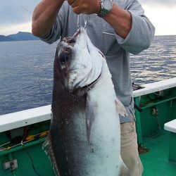 第三むつりょう丸 釣果