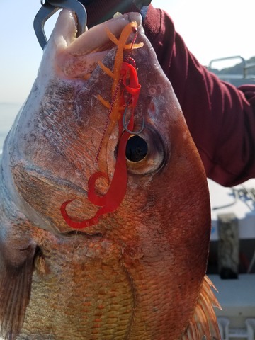 遊漁船　ニライカナイ 釣果