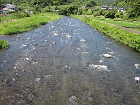 狩野川(狩野川漁業協同組合) 釣果