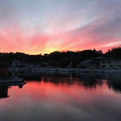 へいみつ丸 釣果
