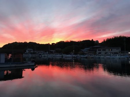 へいみつ丸 釣果