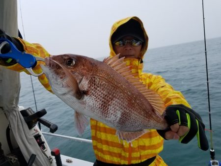遊漁船 ニライカナイ 釣果