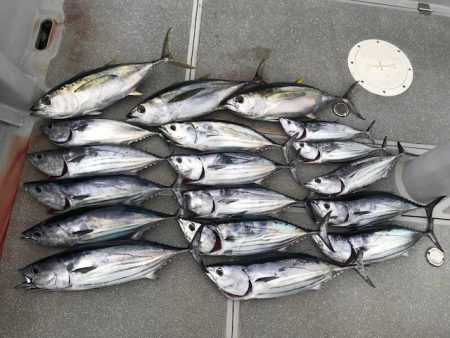 へいみつ丸 釣果