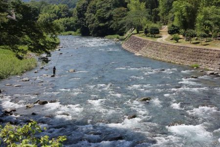 狩野川(狩野川漁業協同組合) 釣果