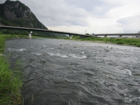 狩野川(狩野川漁業協同組合) 釣果