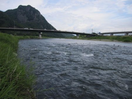 狩野川(狩野川漁業協同組合) 釣果