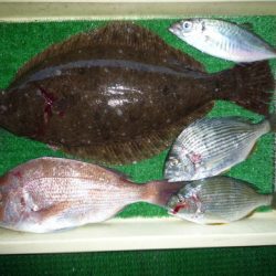 海山フィッシングセンター 釣果