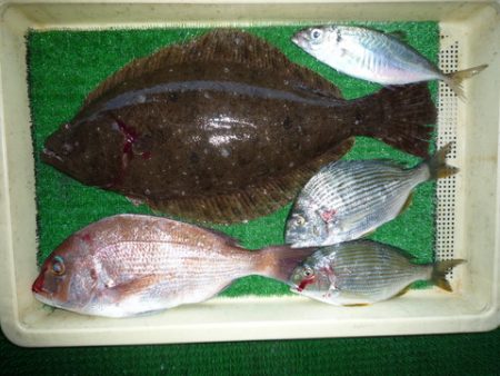 海山フィッシングセンター 釣果