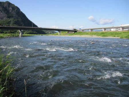 狩野川(狩野川漁業協同組合) 釣果