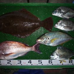 海山フィッシングセンター 釣果