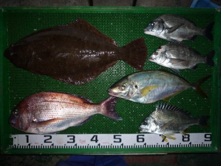 海山フィッシングセンター 釣果