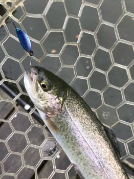 フィッシング サンクチュアリ 釣果