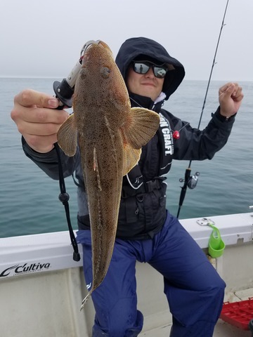 遊漁船 ニライカナイ 釣果