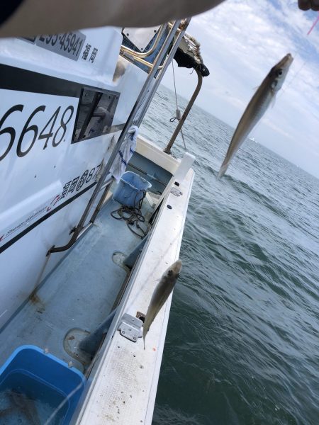 リトルワン 釣果