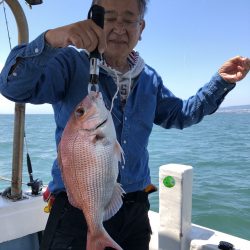 リトルワン 釣果