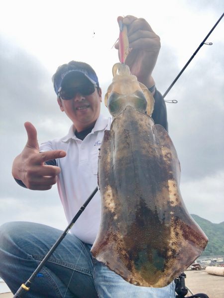 四国西南部のアオリイカエギング、今年の4月・5月は！？【ジャイアン氏連載記事No.21】