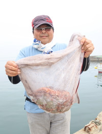 魚英 釣果