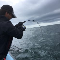 松鶴丸 釣果