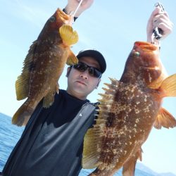 BlueNote Fishing Taxi 釣果