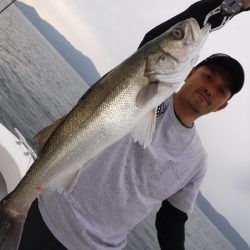 ＢｌｕｅＮｏｔｅ　Ｆｉｓｈｉｎｇ　Ｔａｘｉ 釣果