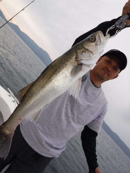 ＢｌｕｅＮｏｔｅ　Ｆｉｓｈｉｎｇ　Ｔａｘｉ 釣果