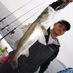 ＢｌｕｅＮｏｔｅ　Ｆｉｓｈｉｎｇ　Ｔａｘｉ 釣果