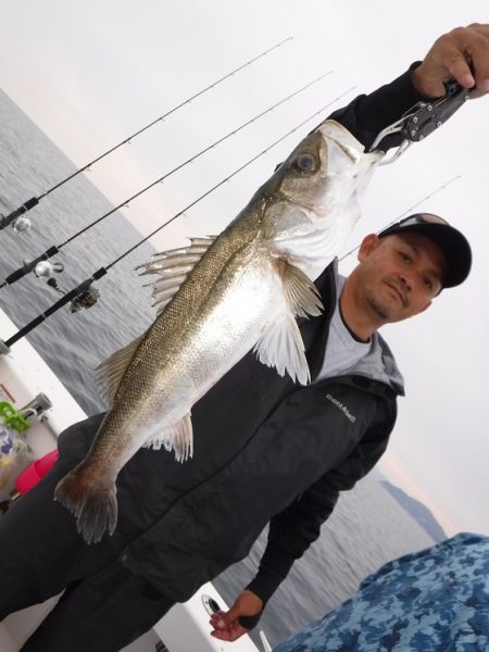 ＢｌｕｅＮｏｔｅ　Ｆｉｓｈｉｎｇ　Ｔａｘｉ 釣果