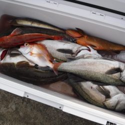 BlueNote Fishing Taxi 釣果