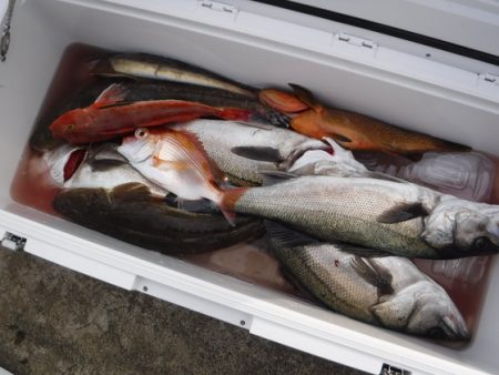 BlueNote Fishing Taxi 釣果