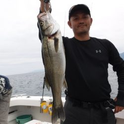 ＢｌｕｅＮｏｔｅ　Ｆｉｓｈｉｎｇ　Ｔａｘｉ 釣果