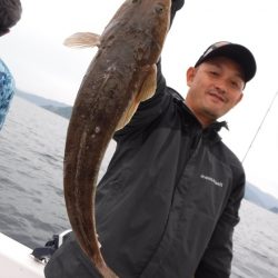 ＢｌｕｅＮｏｔｅ　Ｆｉｓｈｉｎｇ　Ｔａｘｉ 釣果