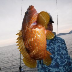 ＢｌｕｅＮｏｔｅ　Ｆｉｓｈｉｎｇ　Ｔａｘｉ 釣果