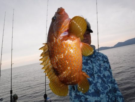 ＢｌｕｅＮｏｔｅ　Ｆｉｓｈｉｎｇ　Ｔａｘｉ 釣果