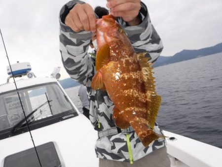 ＢｌｕｅＮｏｔｅ　Ｆｉｓｈｉｎｇ　Ｔａｘｉ 釣果