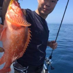 シーモンキー 釣果