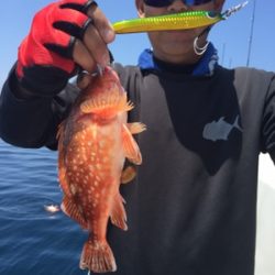 シーモンキー 釣果