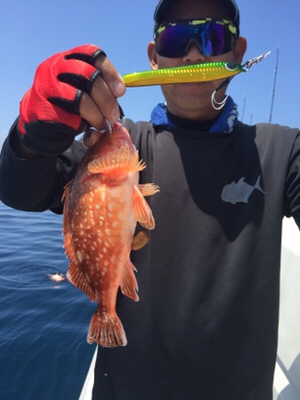 シーモンキー 釣果