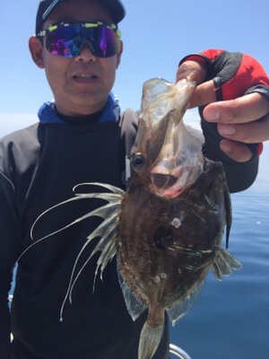 シーモンキー 釣果