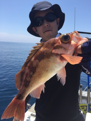 シーモンキー 釣果