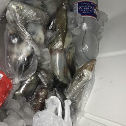 寿裕 （YOSHIHIRO） 釣果