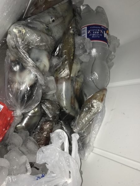 寿裕 （YOSHIHIRO） 釣果