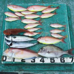 清和丸 釣果