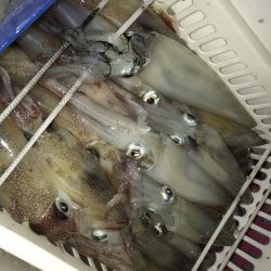 寿裕 （YOSHIHIRO） 釣果