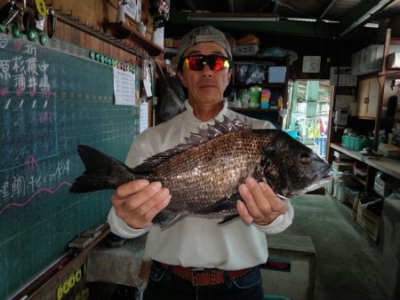 ふじや釣舟店 釣果