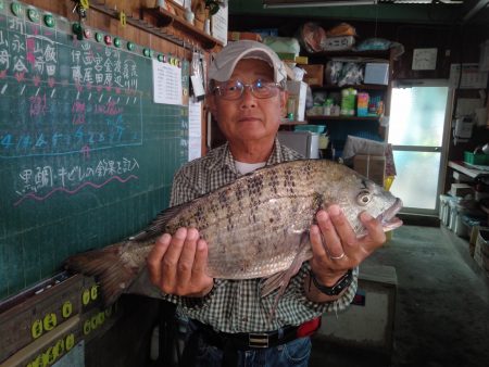 ふじや釣舟店 釣果