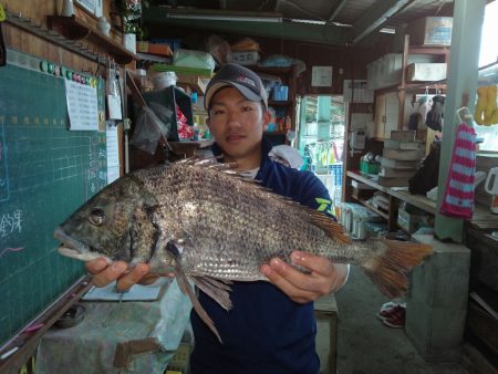 ふじや釣舟店 釣果