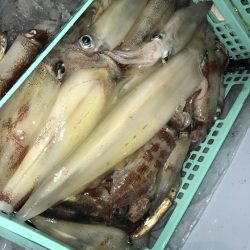 寿裕 （YOSHIHIRO） 釣果