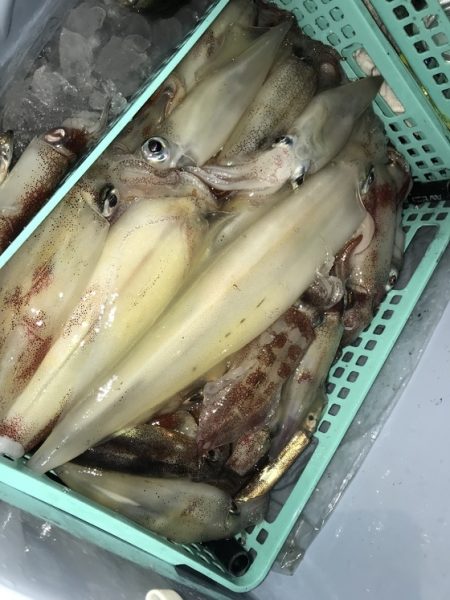 寿裕 （YOSHIHIRO） 釣果