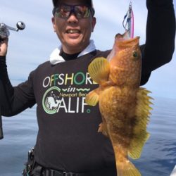 シーモンキー 釣果